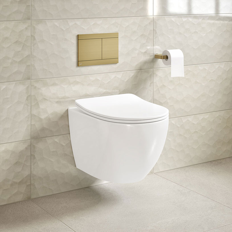 Wall Hung WC