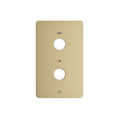 1 Outlet Wall Plate Brushed Brass
